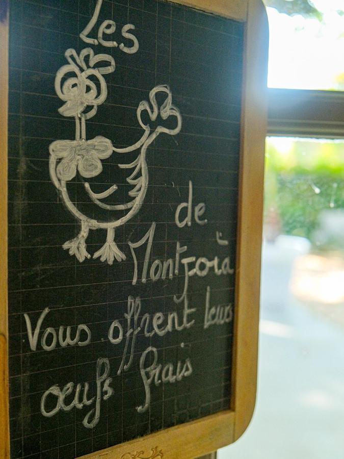 Montjoia Bed & Breakfast L'Isle-sur-la-Sorgue Exterior photo
